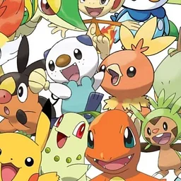 PokeKon Fest - Dothan, Alabama