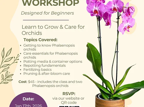 Orchid 101 Workshop