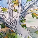 Drawing in Nature (7SU26)