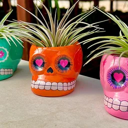 Paint Your Own Skull Planter Pots