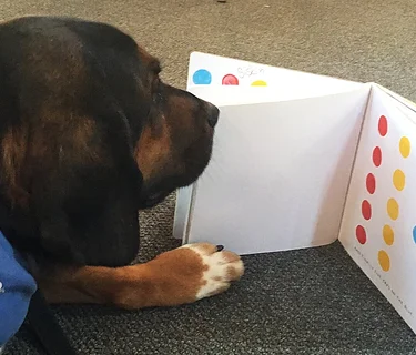 Share-A-Book (San Rafael)