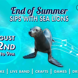 End of Summer Sips With Sea Lions