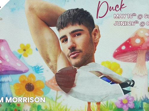DUCK (The Vault)