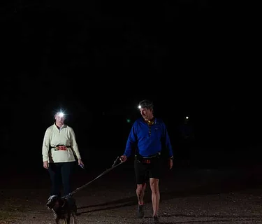 Guided Night Hike