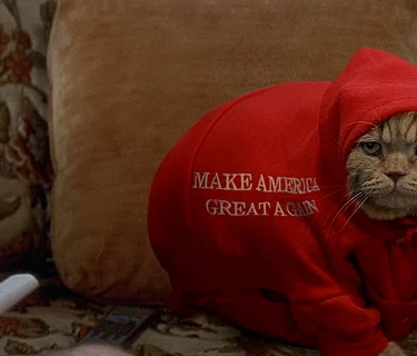 Hello Dankness at Speed Cinema