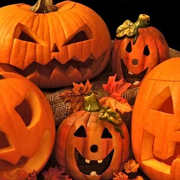 Family Pumpkin Carving