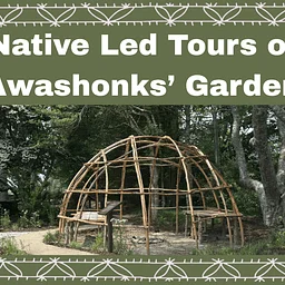 Native Led Tours of Awashonks’ Garden