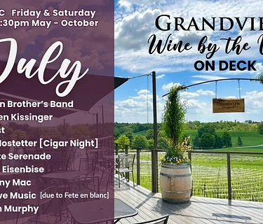 Live Music! Wine by the Vine at grandview with Stephen Kissinger