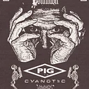 PIG (Raymond Watts of KMFDM)