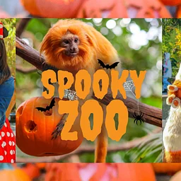 Spooky Zoo