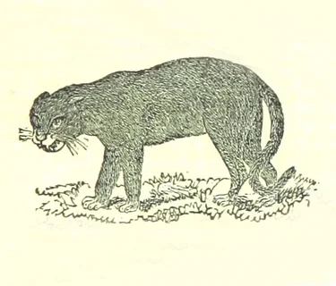 Program: Zadock Thompson and the Story of Vermont