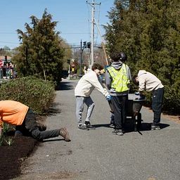 Forest Care Day – April 4