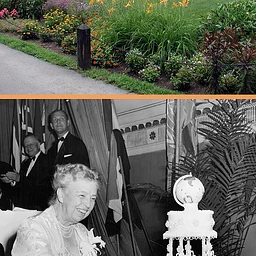 Eleanor Roosevelt's Birthday
