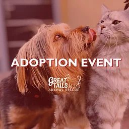 December Adoption Event