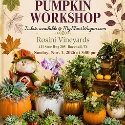 Succulent Pumpkin Workshop