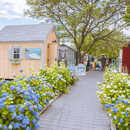 Hyannis HyARTS Artist Shanties week of September 10 – September 14, 2026 * OPEN May – Oct!