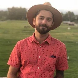 Live Music: Phil Reed