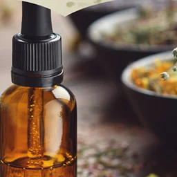 Herbal Preparations Tuesday, October 20, 2026 Ever wonder what to do with all those herbs you grow throughout the season? Master Gardener Elaine Gregory will teach you how to not only preserve some of your favorite herbs, but also how to turn them into oils, salves, tinctures and vinegars. Pre-registration is required. Read more