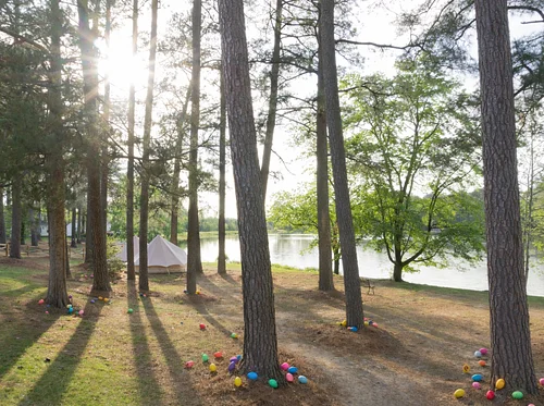 Trying to Adult RVA Easter Egg Hunt