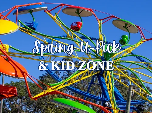 Spring U-Pick + Fun Zone