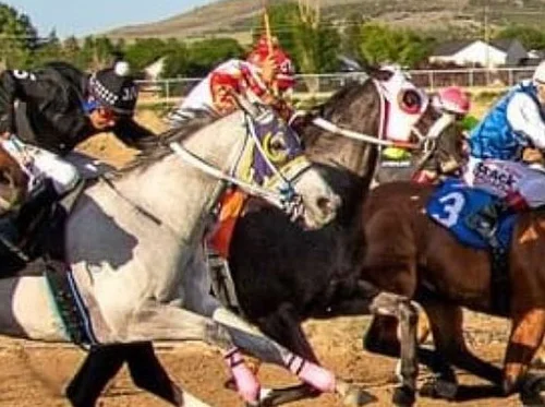 Pocatello Downs Flat Track Horse Races