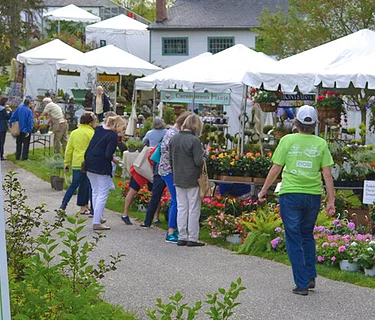 Ladew Garden Festival - Monkton, MD