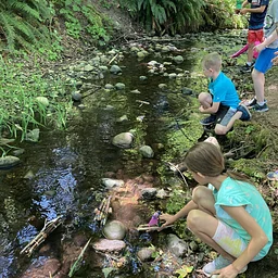 Farm Open Day: STEAM Explorations!