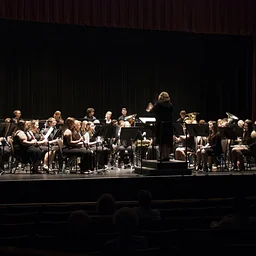 Westminster Symphony Orchestra Concert