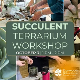 Succulent Terrarium Building Workshop