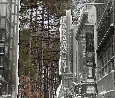 Artist Reception | Photosynthesis