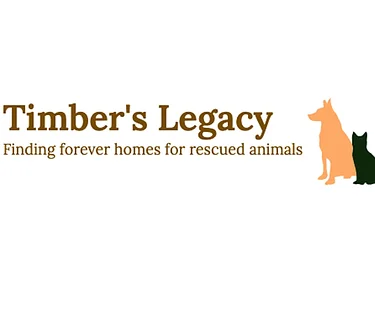 Timber’s Legacy at PS/IS Spring Market, Middle Village