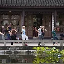 Wild Goose Qigong