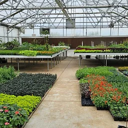 First Friday Horticulture Tour