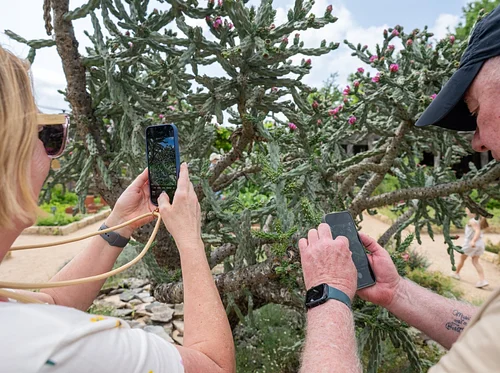 iNaturalist Workshop