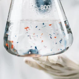 Reimagining Our Food, Water, and Environment: A Start-up Journey (hybrid)