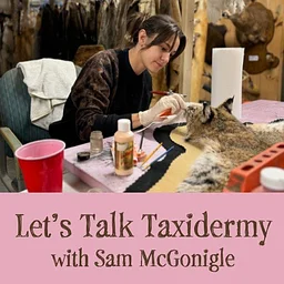 Let's Talk Taxidermy
