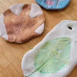 MILL at Van Vleck – Clay Imprints
