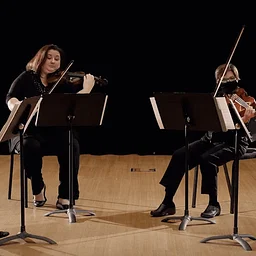 Dove String Quartet | Music in Public Places