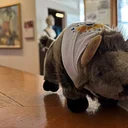 Find the Bison at the Watkins!