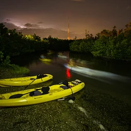 Moonlit Paddle – Kayaking with Mote