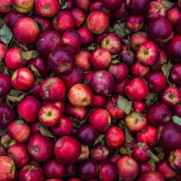 Cider Fridays!