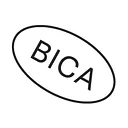 The Buffalo Institute for Contemporary Art