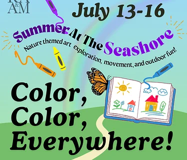Summer At The Seashore: Color, Color, Everywhere 🌈