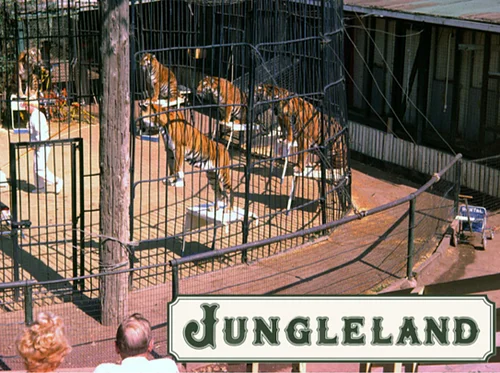 Jungleland Turns 100 - A Roaring Return