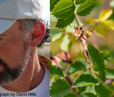 Survival Plants of Colorado Workshop with Cattail Bob