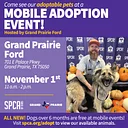 Mobile Adoptions @ Grand Prairie Ford