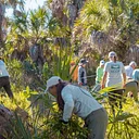 Gopher Tortoise Habitat Maintenance Day
