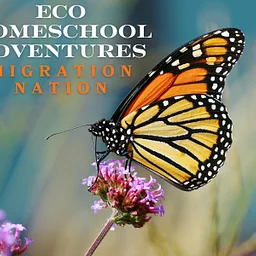 ECO Homeschool Adventures: Migration Nation