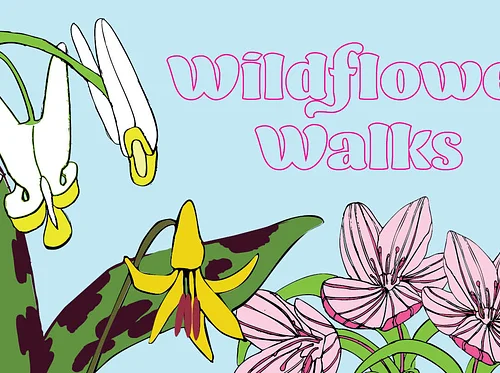 Spring Wildflower Walk