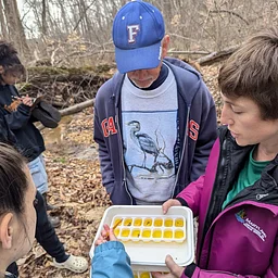 StReaM Team Monitoring – Sampling Date